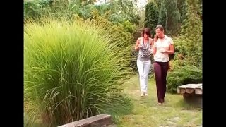 Hot Pussy Females sharing a huge shlong in superb back yard clothed porn